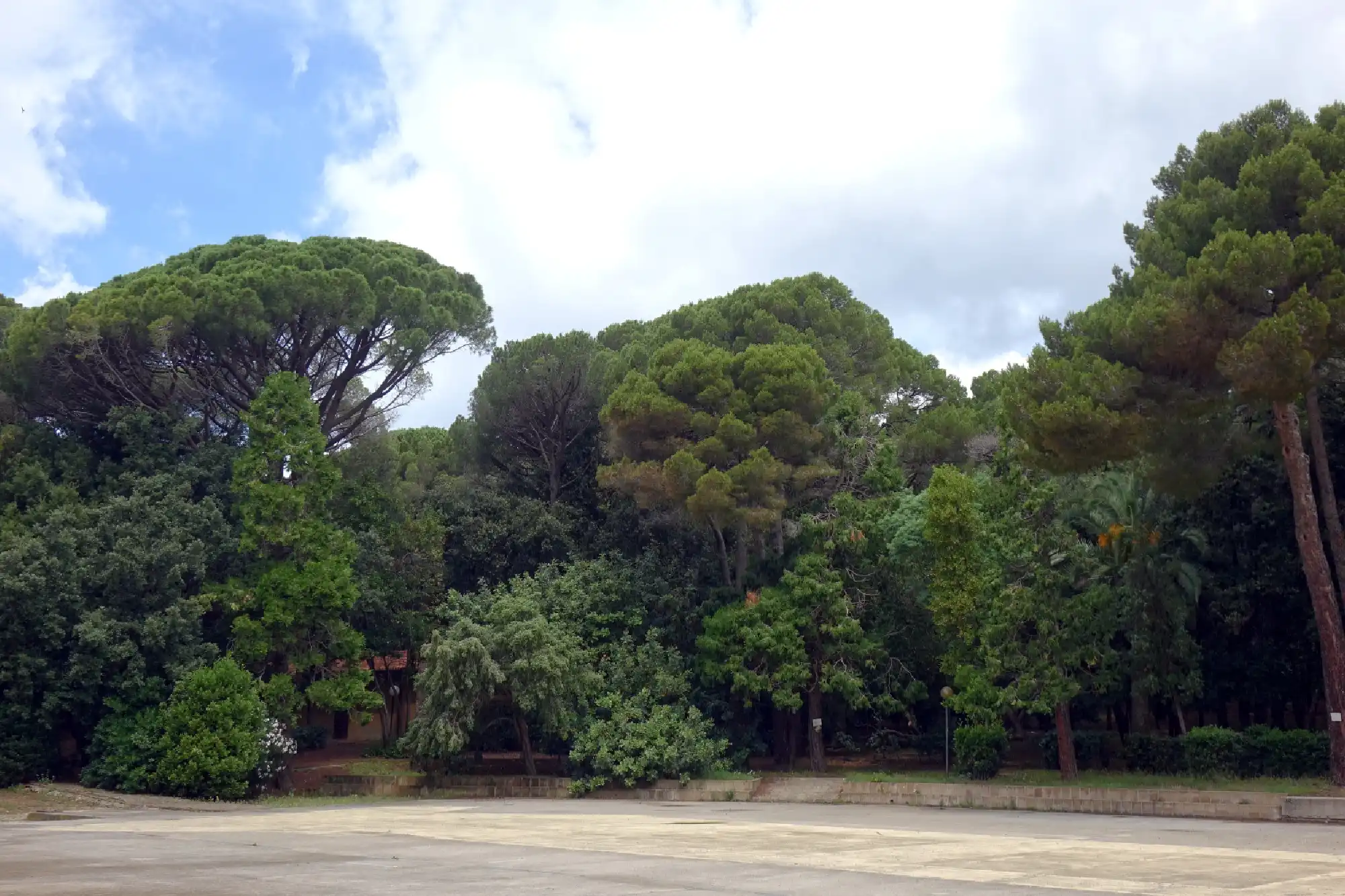 PASSEGGIATE E LABORATORI